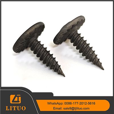 wafer screw self tapping point