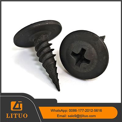 black wafer head screws