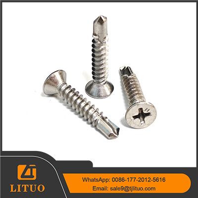 stainless steel csk head screw